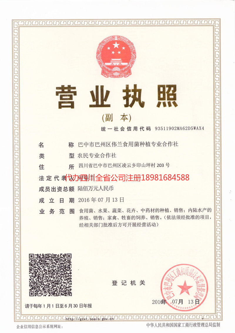 洪湖洪湖伟兰食用菌种植专业合作社