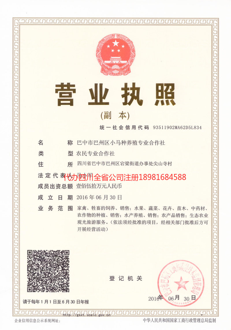 洪湖洪湖小马种养殖专业合作社